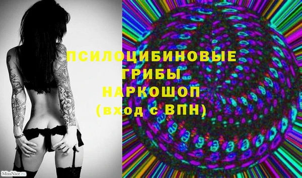 винт Новодвинск