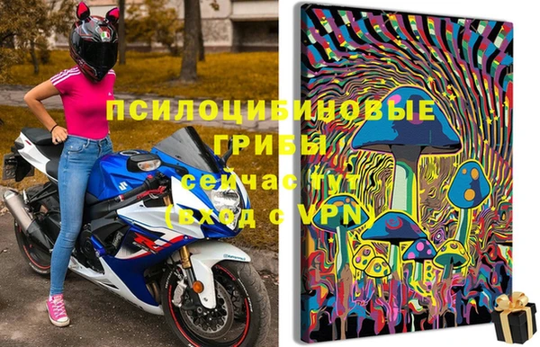 гашик Нея