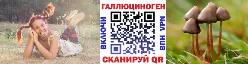 что такое   Копейск  Псилоцибиновые грибы MAGIC MUSHROOMS 