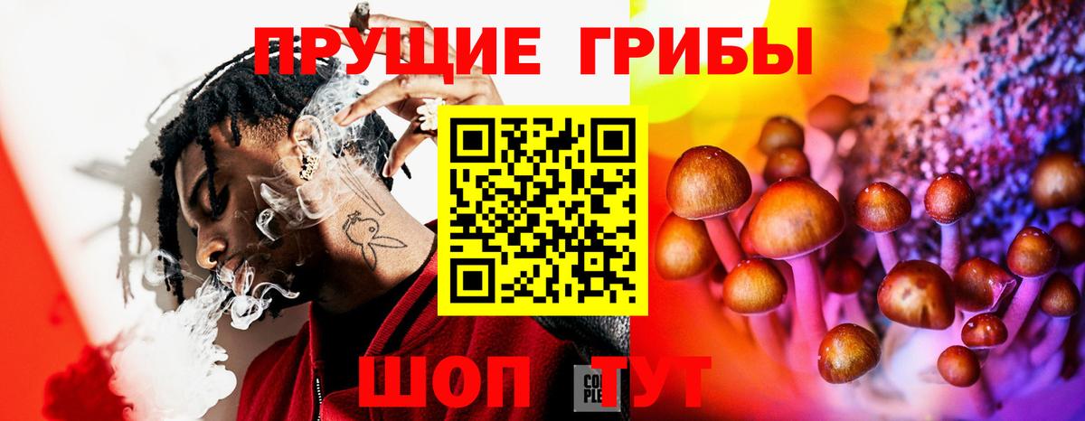 Галлюциногенные грибы прущие грибы Копейск