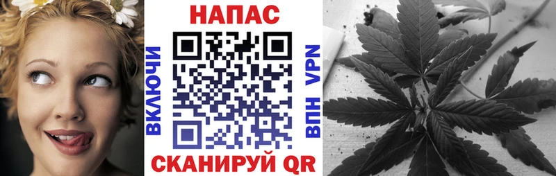 Шишки марихуана марихуана  где купить наркоту  Копейск 